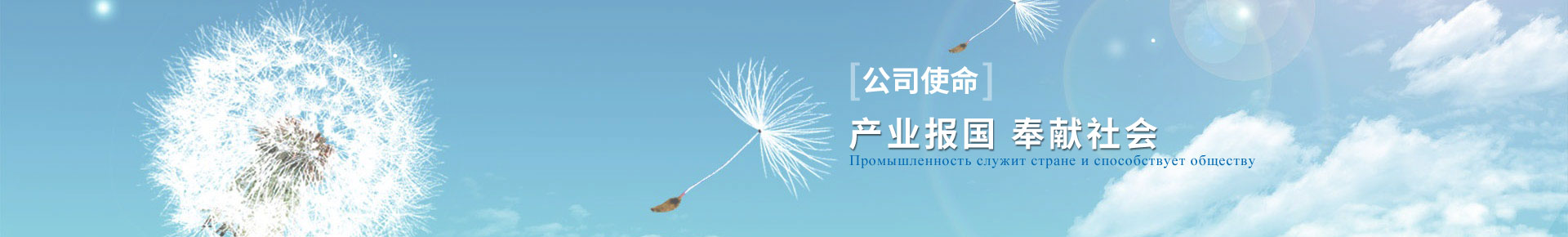 宝典资料免费大全